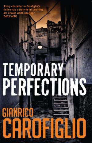 Book cover of Temporary Perfections