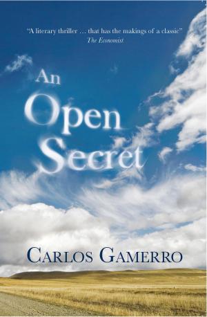 Book cover of An Open Secret