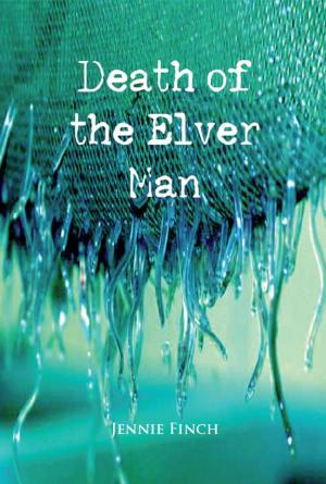bigCover of the book The Death of the Elver Man by 