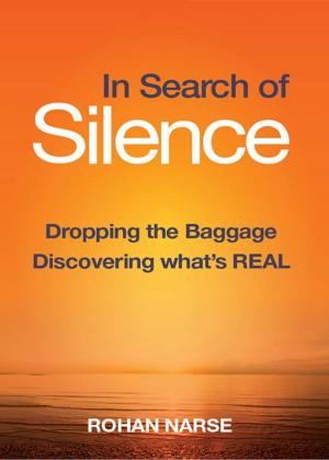Cover of the book In Search of Silence by Graham, Chris, Franklin, Stewart, Gow, John DC, McKillop, Alasdair