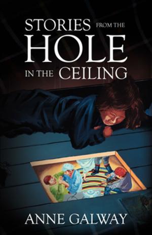 Cover of the book Stories from the Hole in the Ceiling by Paul Butler