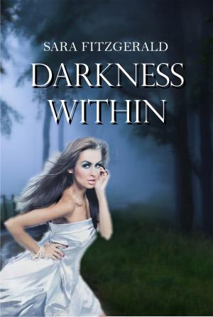 Cover of the book Darkness Within by Veronica Helen Hart
