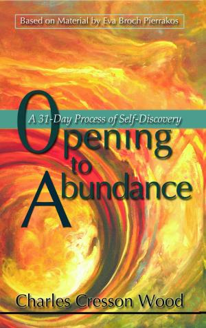Cover of the book Opening to Abundance A 31-Day Process of Self-Discovery by Tony Fahkry