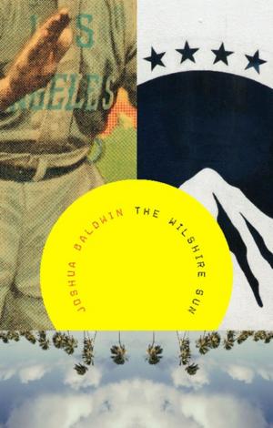 Cover of the book The Wilshire Sun by Michael Carroll