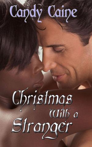 Cover of the book Christmas with a Stranger by Candy Caine