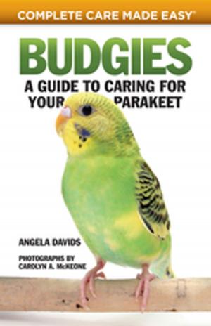 Cover of the book Budgies by Dog Fancy Magazine