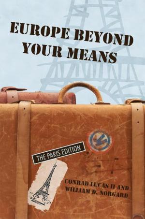 bigCover of the book Europe Beyond Your Means by 