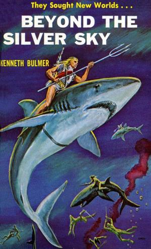 Cover of the book Beyond the Silver Sky by Don Ship