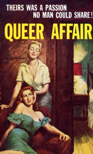 Cover of the book Queer Affair by Vin Packer