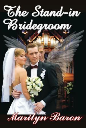 Cover of the book The Stand-in Bridegroom by Shanaya Fastje
