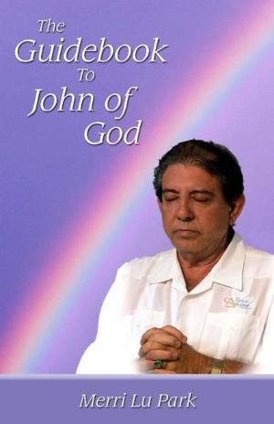 Cover of The Guidebook to John of God