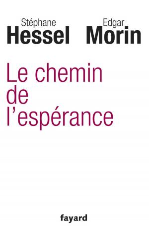 Cover of the book Le chemin de l'espérance by Anne Nivat