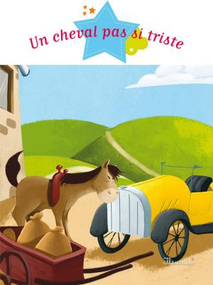 Cover of the book Un cheval pas si triste by Nathalie Bélineau, Émilie Beaumont