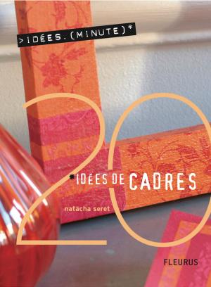 Cover of the book 20 Idées de cadres by Sylvie De Mathuisieulx
