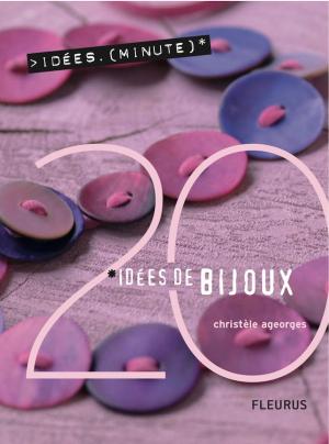 Cover of the book 20 Idées de bijoux by Nathalie Somers