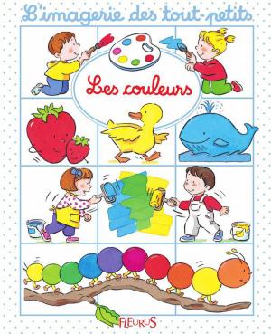 Cover of the book Les couleurs by Emmanuelle Lepetit