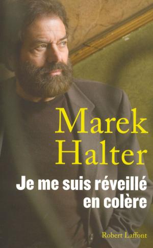 Cover of the book Je me suis réveillé en colère by Éric ROUSSEL