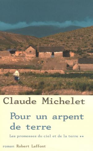 Cover of the book Les Promesses du ciel et de la terre - Tome 2 by Jean-Michel DELACOMPTÉE