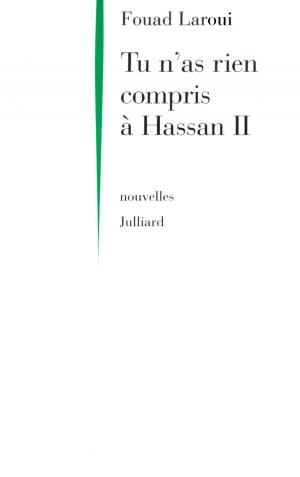 Cover of the book Tu n'as rien compris à Hassan II by Max GALLO