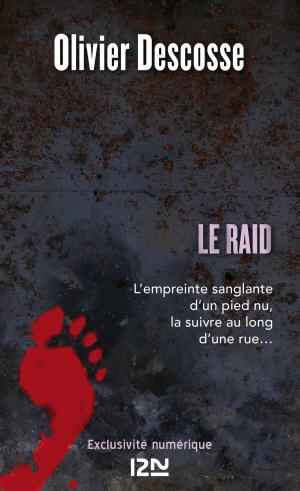 Cover of the book Le raid by SAN-ANTONIO