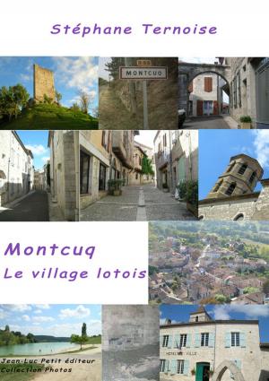 Cover of the book Montcuq, le village lotois by Stéphane Ternoise