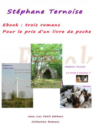 Cover of the book Ebook : trois romans pour le prix d'un livre de poche by Stéphane Ternoise