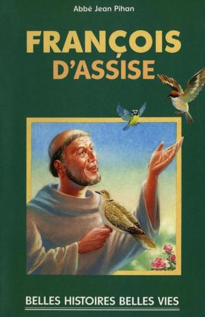 Cover of the book Saint François d'Assise by Cécile Quiniou