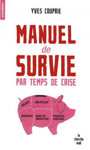 Cover of the book Manuel de survie par temps de crise by François BOTT