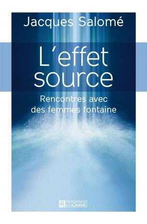 Cover of the book L'effet source by Jean-François Vézina