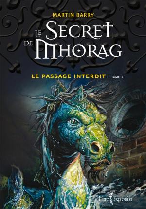 Cover of the book Le Secret de Mhorag, tome 1 by Dominique Drouin