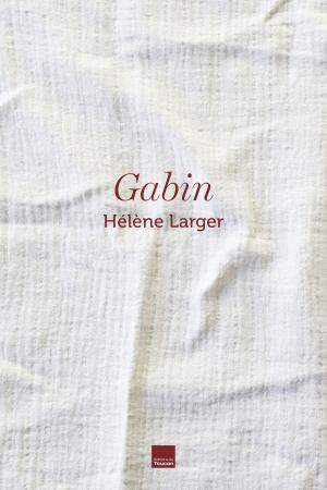 Cover of the book Gabin by Jean-Michel Larqué