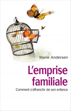 Cover of the book L'emprise familiale by Damien Galtier