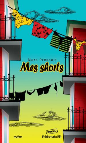 Cover of the book Mes shorts by J.R. Léveillé