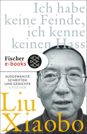 Cover of the book Ich habe keine Feinde, ich kenne keinen Hass by J.M. Coetzee