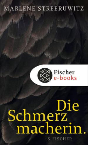 Book cover of Die Schmerzmacherin.