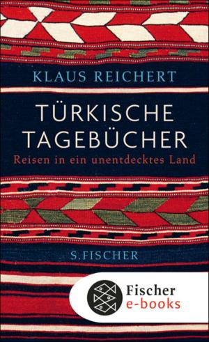 Cover of the book Türkische Tagebücher by Eric-Emmanuel Schmitt