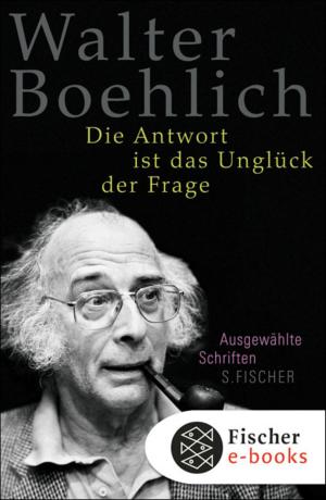 Cover of the book Die Antwort ist das Unglück der Frage by Barbara M Schwarz