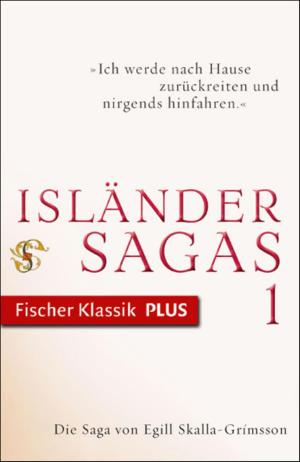 Cover of the book Die Saga von Egill Skalla-Grímsson by Eric-Emmanuel Schmitt