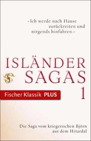 Cover of the book Die Saga vom kriegerischen Björn aus dem Hítardal by Wolfgang Hilbig