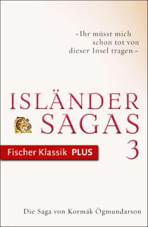 Cover of the book Die Saga von Kormák Ögmundarson by Ursula Nuber