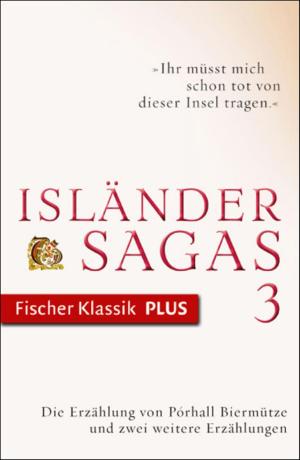 Cover of the book Die Erzählung von Pórhall Biermütze und zwei weitere Erzählungen by Kathrin Röggla