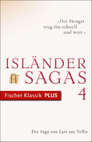 Cover of the book Die Saga von Ljót aus Vellir by Erika Wüchner