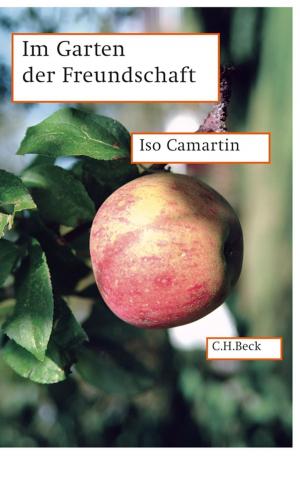 Cover of the book Im Garten der Freundschaft by Hellmut Flashar
