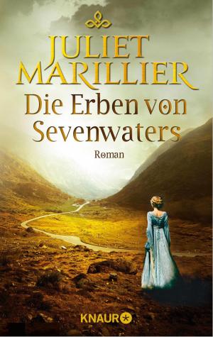 Book cover of Die Erben von Sevenwaters