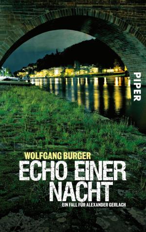 Cover of the book Echo einer Nacht by Reinhold Messner