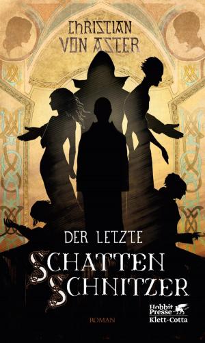 Cover of the book Der letzte Schattenschnitzer by Michael Wildenhain