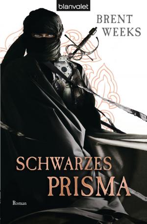 Cover of the book Schwarzes Prisma by Lucinda Riley