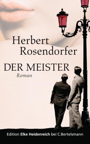 Cover of the book Der Meister by Hera Lind