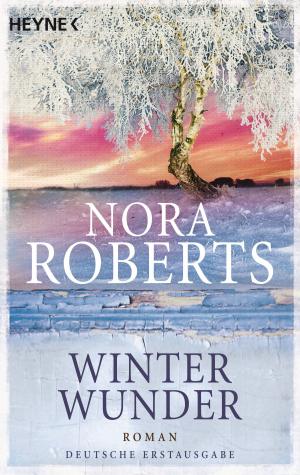 Cover of the book Winterwunder by Olen Steinhauer