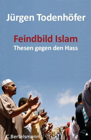 Cover of the book Feindbild Islam by Ruediger Dahlke